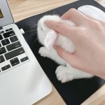 Photo by ˖ ꜝ❤︎ kanou 𑣲 ⏦ﾟ📌 lagi optip! 🐇 (@berryoncloud)