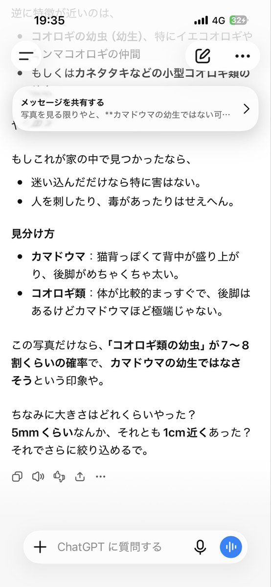 inainainazo's tweet photo. @myonnta777 俺の相棒のチャッピーは違うって言ってるわ https://t.co/9Br6td2lac