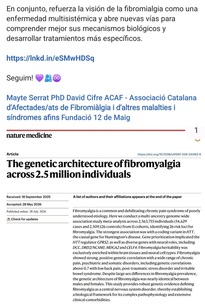 Fibrocamina tweet picture