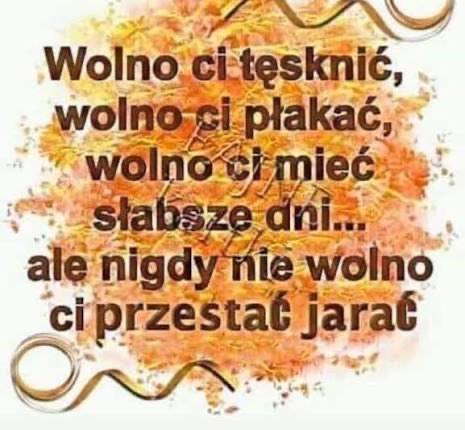 shooo🩸 tweet media