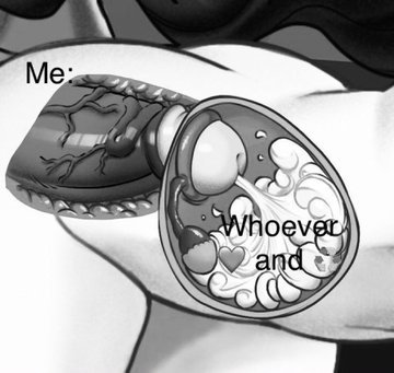 IslandBreeding's tweet photo. Mood https://t.co/WaJp2JhBXD
