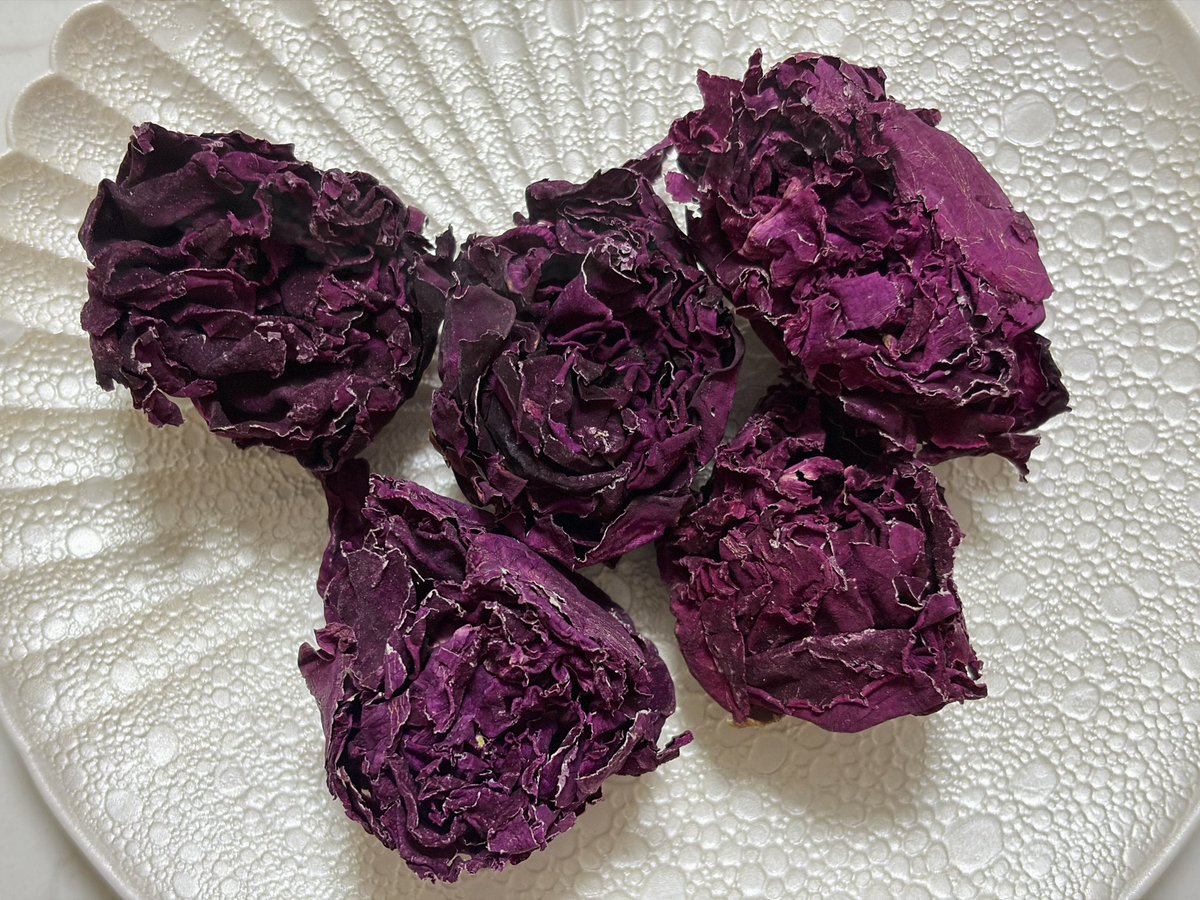 aaa33278100's tweet photo. バラのお茶の香りを忘れられず購入！
香り高いバラがそのままお茶になっていて、開封した瞬間にブワッと濃厚な甘い香りが顔を直撃した…。
誇張ではなく「飲む香水」というのが相応しい。

豊富なポリフェノール、抗酸化作用、ラベンダーの数倍に及ぶリラックス効果など、毎日でも飲みたいお茶だ。 https://t.co/qokuqJSb9t