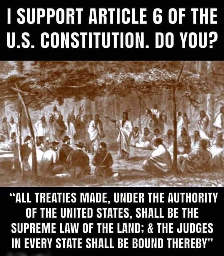 SpottedElk7's tweet photo. The United States government doesn’t put conquered people in their Constitution! 
#FtLaramieTreatyof1886 
#LandBack https://t.co/TiSkz3gKdb
