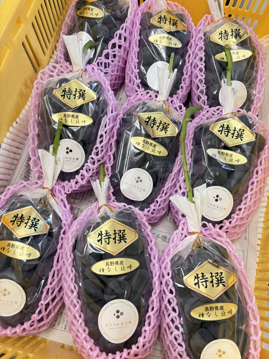 2100housekibako's tweet photo. ついに❗️初物ハウス巨峰も残りわずか⁉️💦
　
感謝を込めて第378回プレゼントキャンペーンを開催します⭐️

🍇応募方法🍇
フォロー＆
このポストをリポスト
〆切は７月３１日
お昼１２時まで

【初物 特選ハウス 巨峰　１kg】

９０００円相当を
Ｘ１名様限定‼️
完全無料でプレゼント🎁✨

ベイス＆メルカリにて一般販売開始‼️
ぶどうの宝石箱ベイス➡️ https://t.co/dDpp9mrTfE

ぶどうの宝石箱メルカリ➡️ https://t.co/SAyAlZC88Y