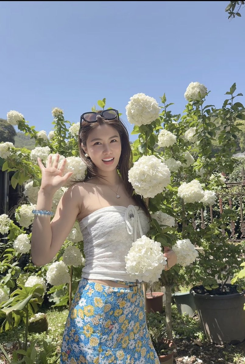 Fan9927ping's tweet photo. Birds singing and flowers blooming https://t.co/TLbR61ULFf