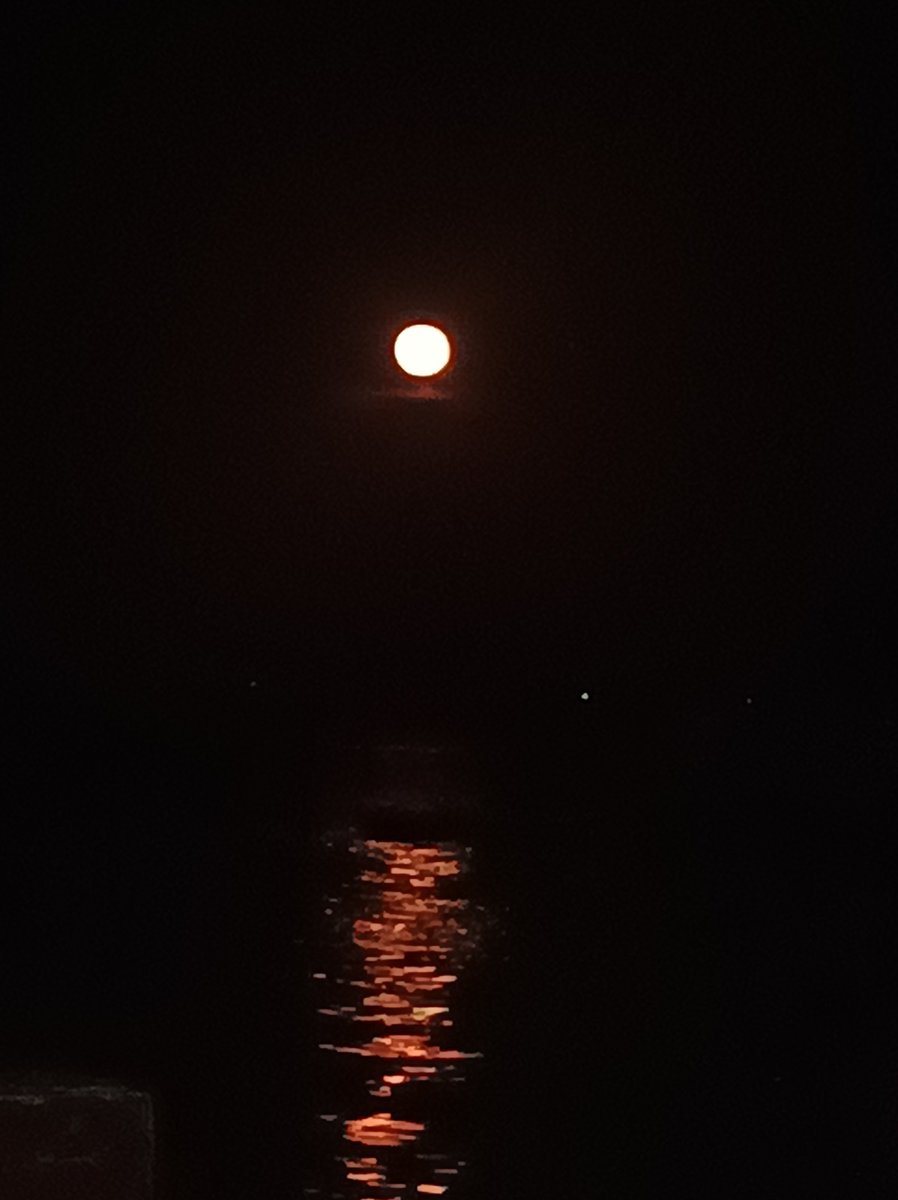 007koteka's tweet photo. ×××

Buck Moon
30 Juli 2026

#BuckMoon
#Purnama https://t.co/SGzltWw7Kd