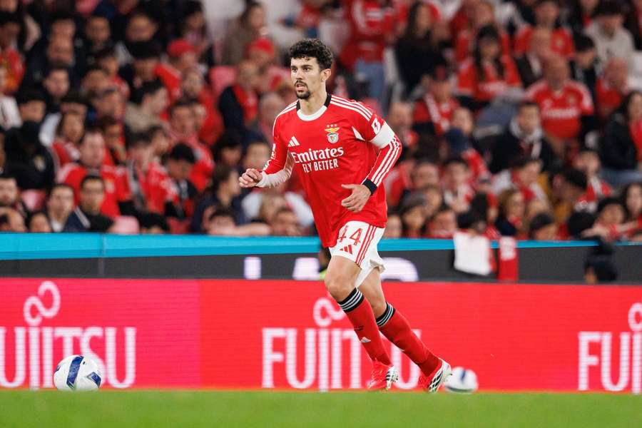 DRCostaSLB's tweet photo. As renovações continuam.

Tomás Araújo é o próximo jogador que o Benfica vai apresentar proposta de renovação. https://t.co/ld9Je2phT1