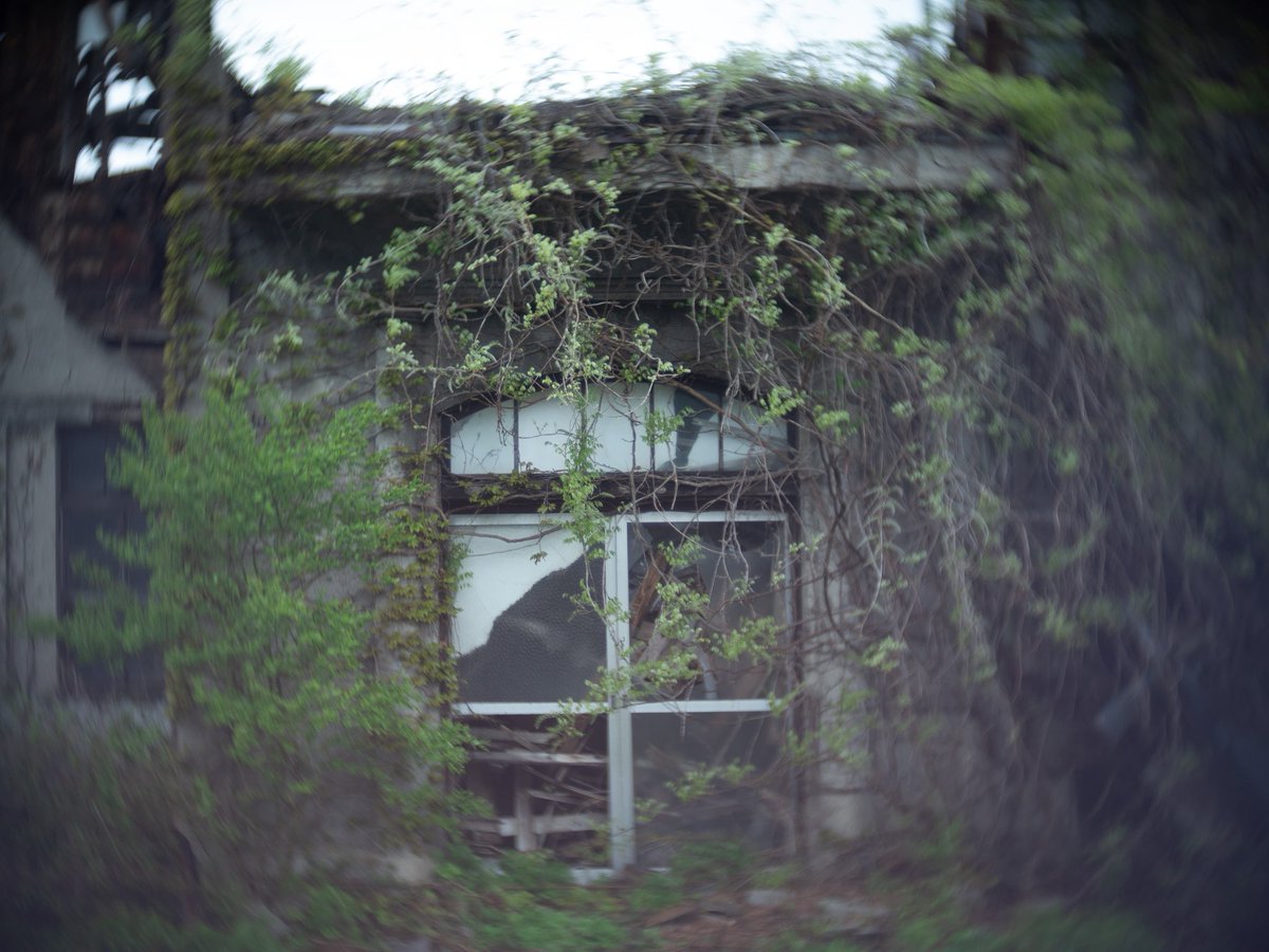 photo_kenji's tweet photo. #snap
#snapshot
#スナップ
#toylens
#トイレンズ
#slrmagic https://t.co/8YS3lmLgzp