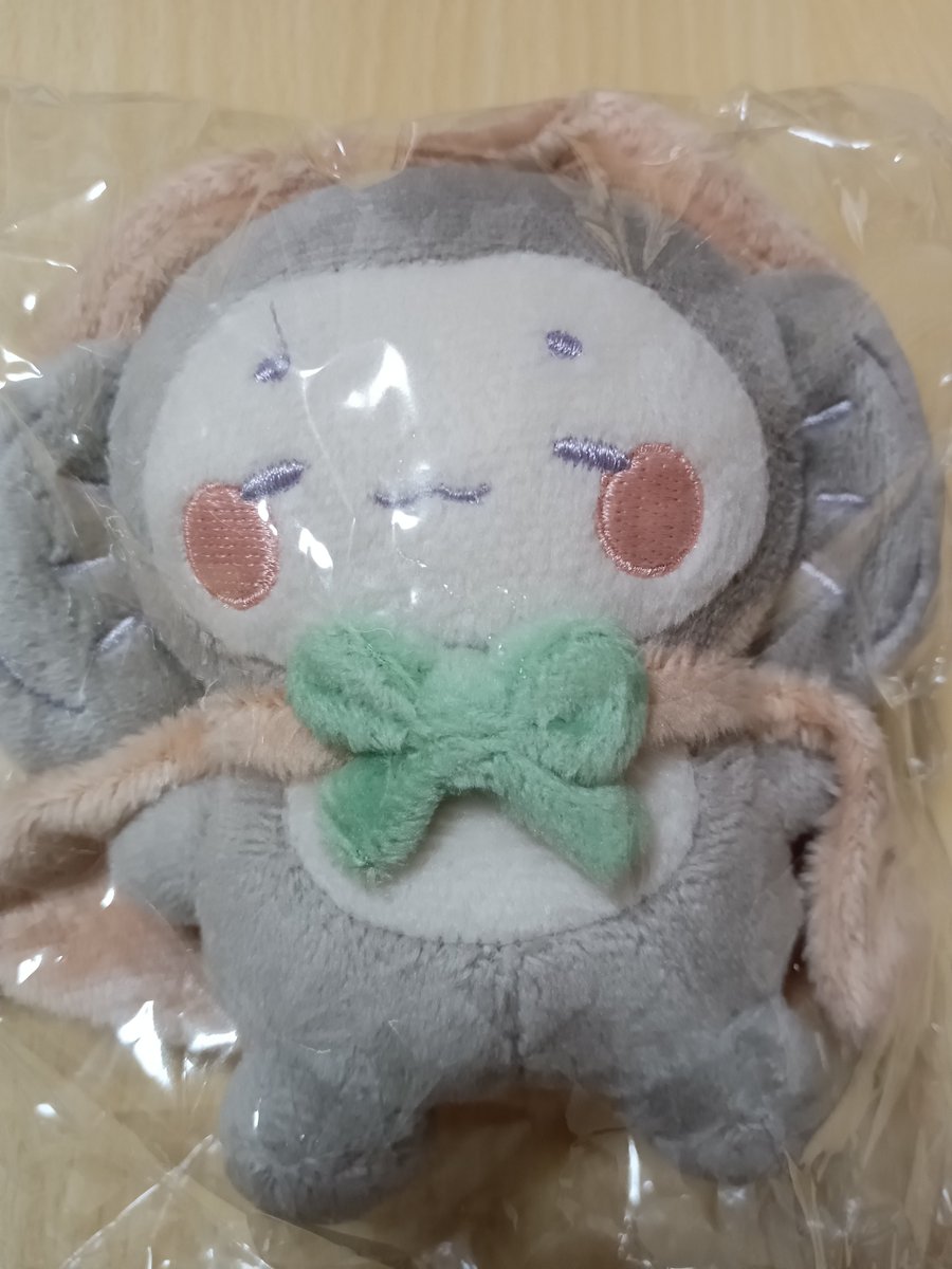 cocoa_ilp's tweet photo. ぶくちゃ届きましたぁ🎁
みなさんのおかげです！
ありがとうございましたぁ☺ https://t.co/P0ax5NOnBw