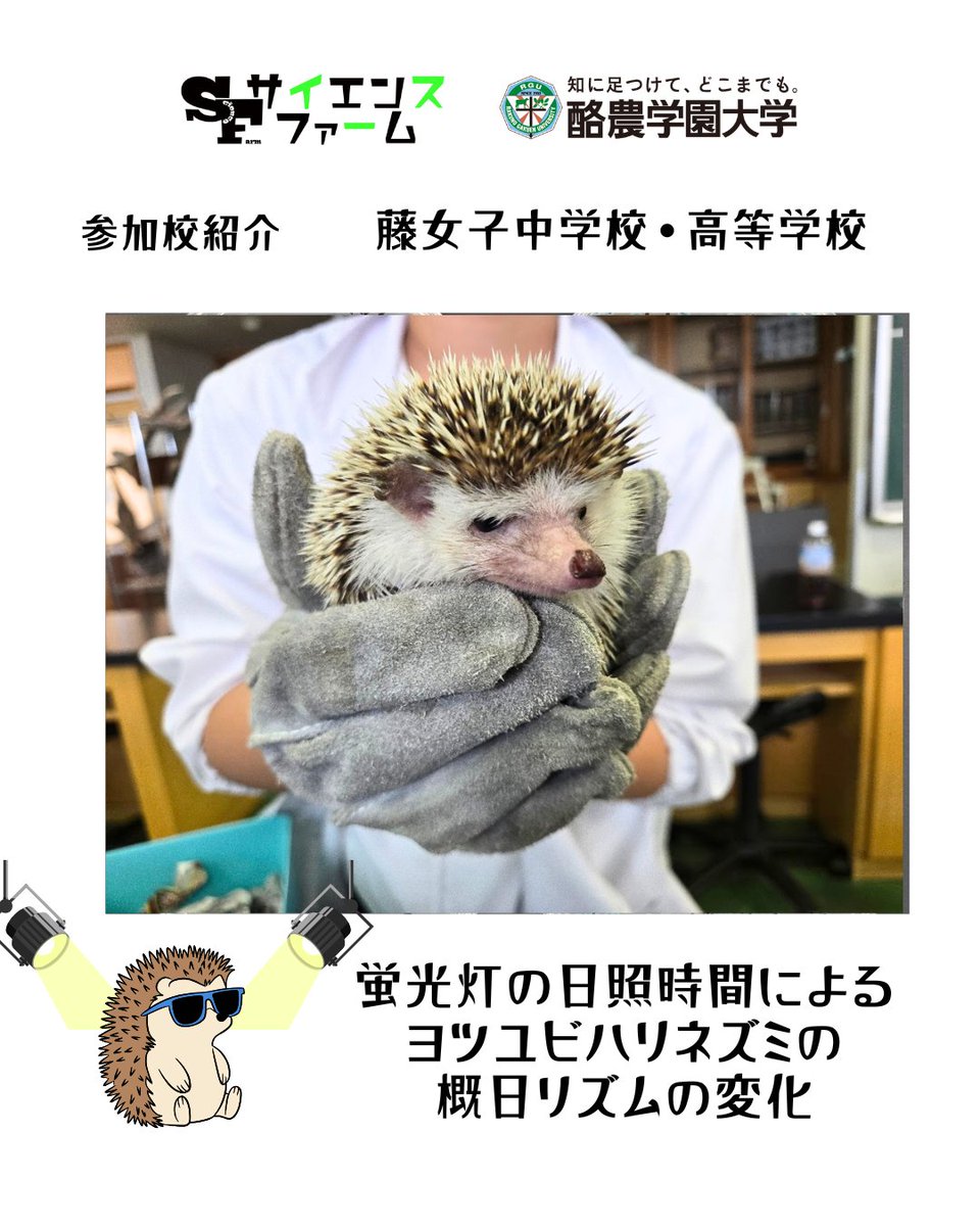 science_farm's tweet photo. 【参加校紹介】藤女子中学校・高等学校
 ＼開催まであと2日！／
 サイエンスファーム発表校の紹介！
演題 ①『蛍光灯の日照時間によるヨツユビハリネズミの概日リズムの変化』
②『大型爬虫類におけるQOL向上についてーケヅメリクガメ爪の伸びすぎ問題ー』 
#サイエンスファーム2026 #酪農学園大学 https://t.co/wjmRfJJHMo