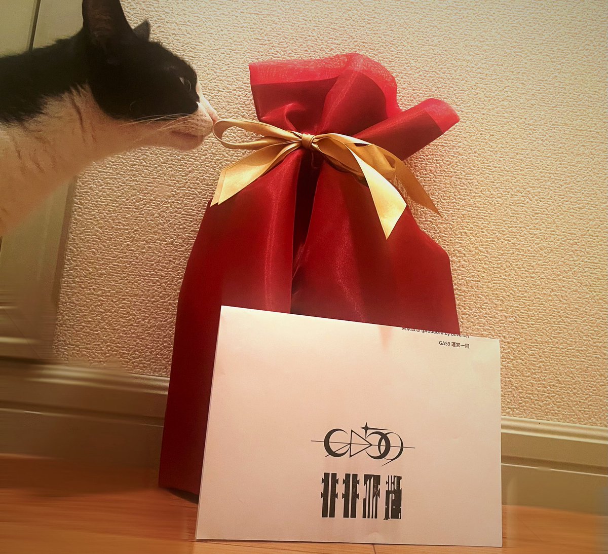 _wrtrd_'s tweet photo. GΔ59のこれ、当たってしまいましてね…へへ…。実物可愛くて安心しました。毎日一緒に寝ます https://t.co/SptiHUpSrW