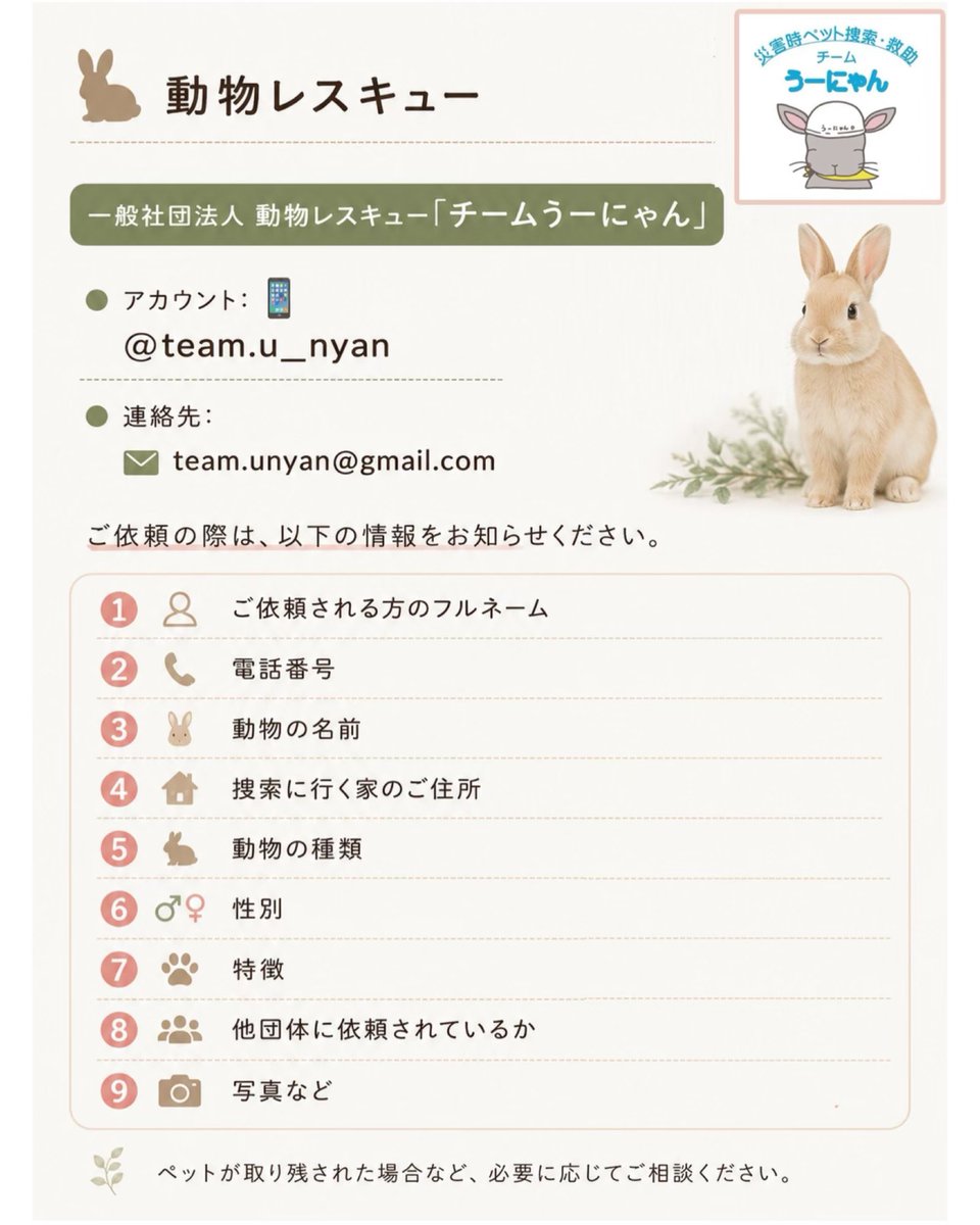 RABBITEXPO2023's tweet photo. 🚨 熊本地震で被災された皆様へ

このたびの熊本地震により被災された皆様に、心よりお見舞い申し上げます。

みなさんは、災害時の避難には

🐾 「同行避難」
🐾 「同室避難」

の2種類があることをご存じでしょうか。 https://t.co/BXjDYRc83s