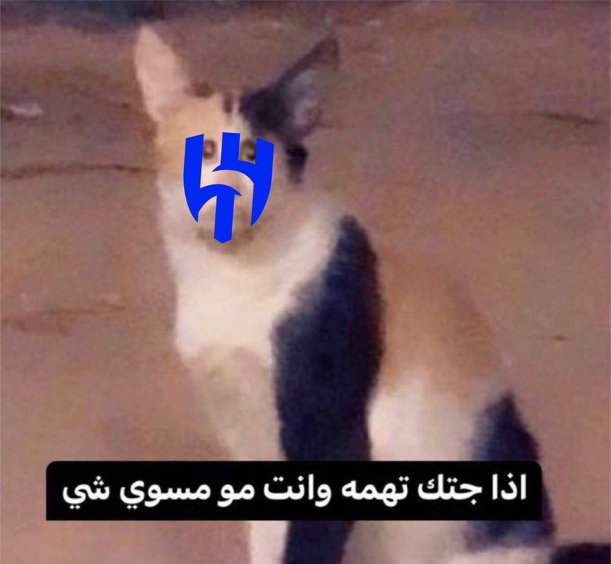  فالكون tweet media