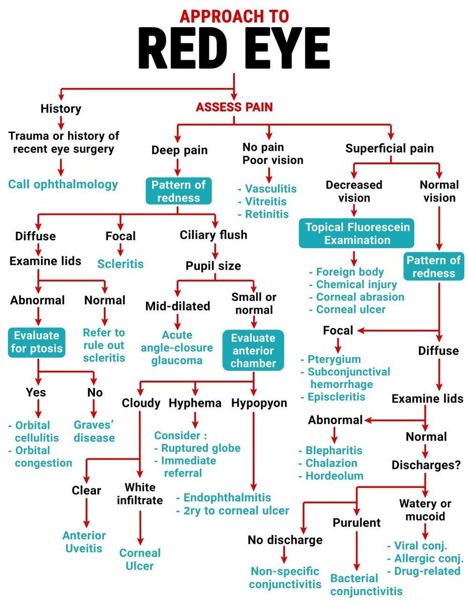 ManualOMedicine's tweet photo. Approach to Red Eye

#medtwitter #foamed #meded https://t.co/i7eST0BQ6d