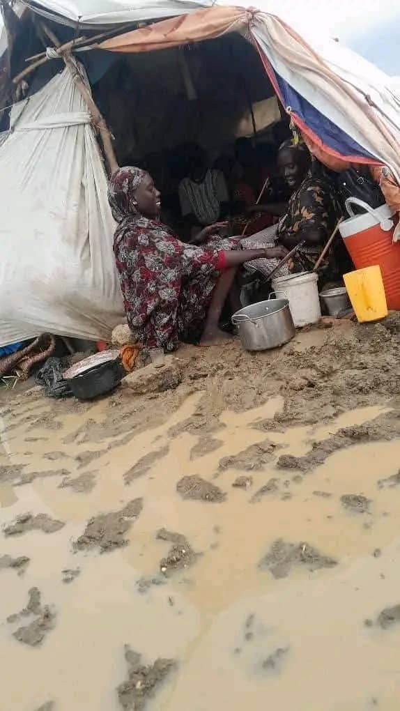 DARFUR NETWORK FOR HUMAN RIGHTS tweet media