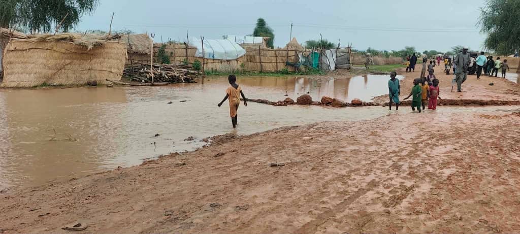 DARFUR NETWORK FOR HUMAN RIGHTS tweet media