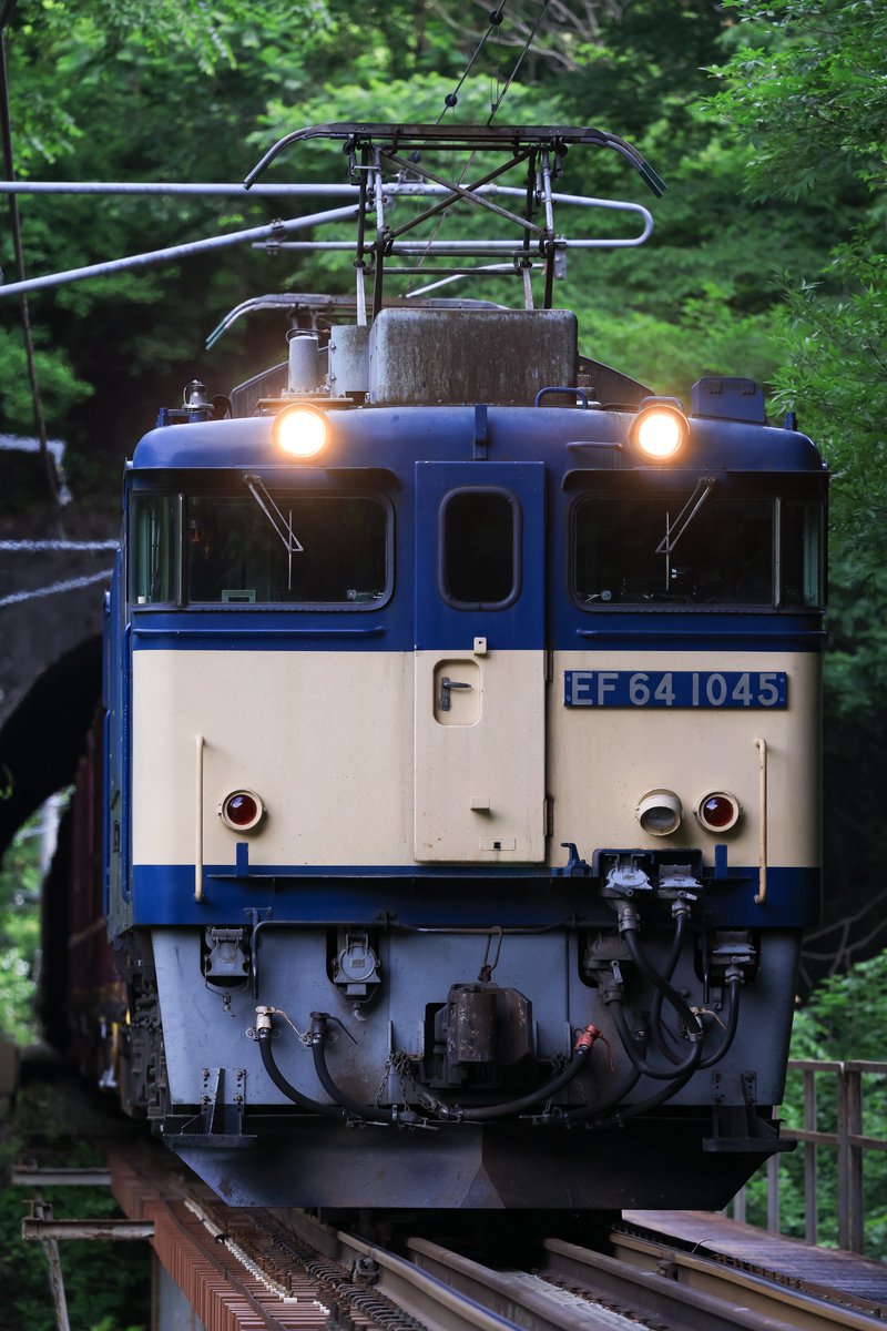 torimaharero's tweet photo. 先月 https://t.co/XxVAMAqYgA