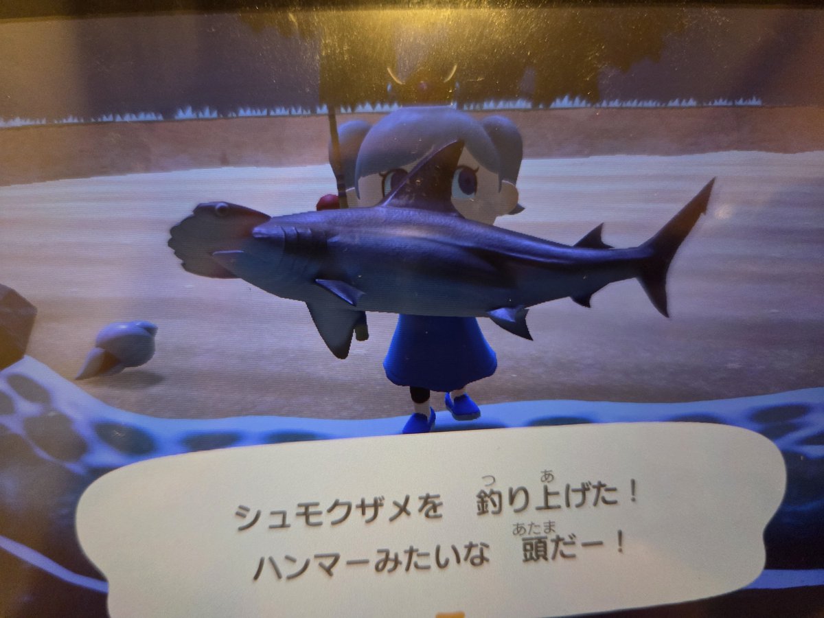 pulmoYD's tweet photo. クワガタとサメ https://t.co/zrjQPUuybh