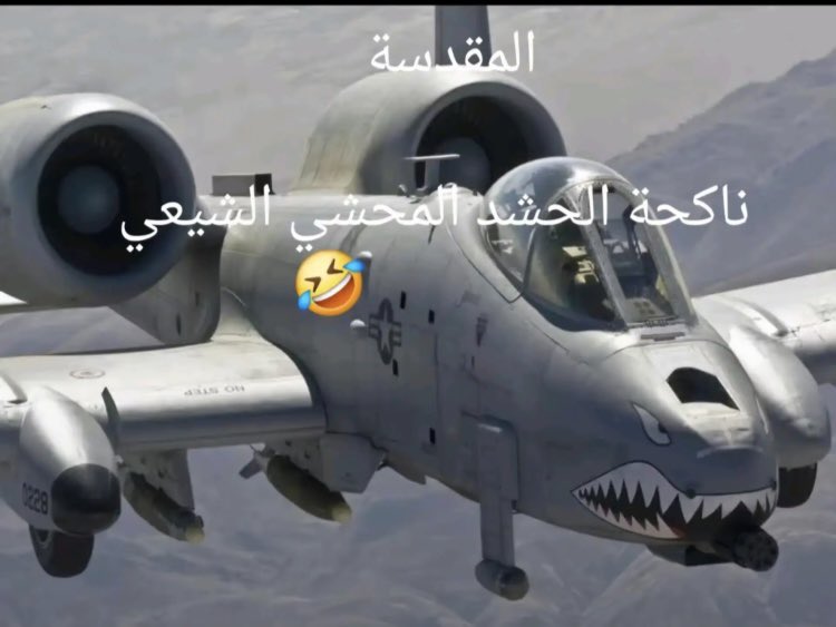 ML tweet media
