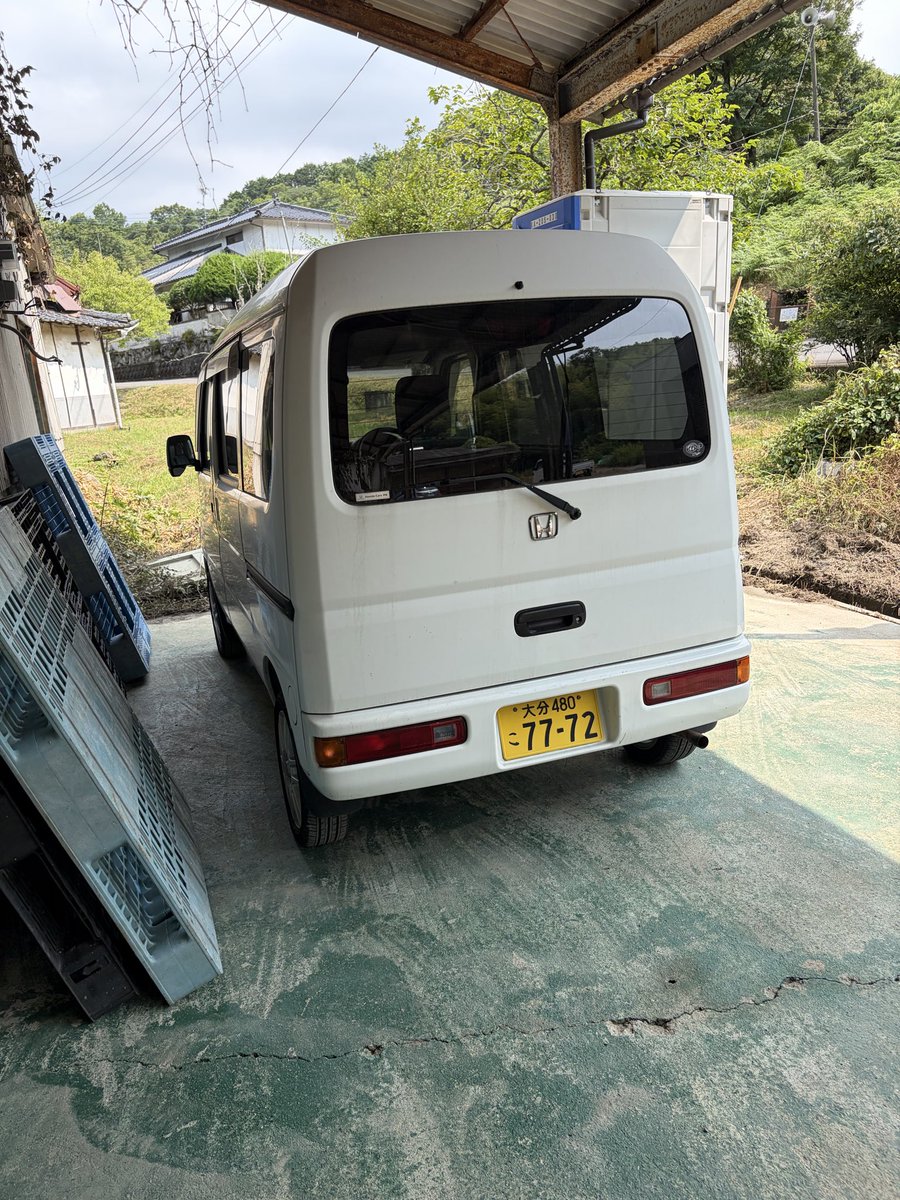 BASE97126970's tweet photo. #農家の終礼🧑‍🌾
#カプリコーンの日記📔
葡萄の収穫と出荷が始まりました！
今年の葡萄は出来が良く味も最高です！
頑張ります！ https://t.co/mCGHpwgxXR