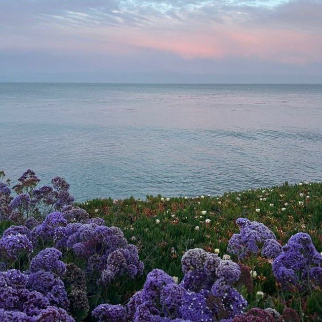 _Naturaee's tweet photo. an enchanted place https://t.co/IHxQ1OYQGW