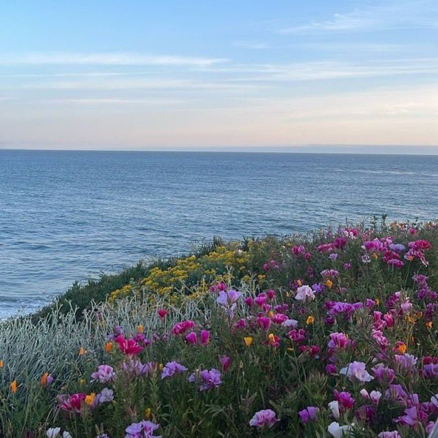 _Naturaee's tweet photo. an enchanted place https://t.co/IHxQ1OYQGW