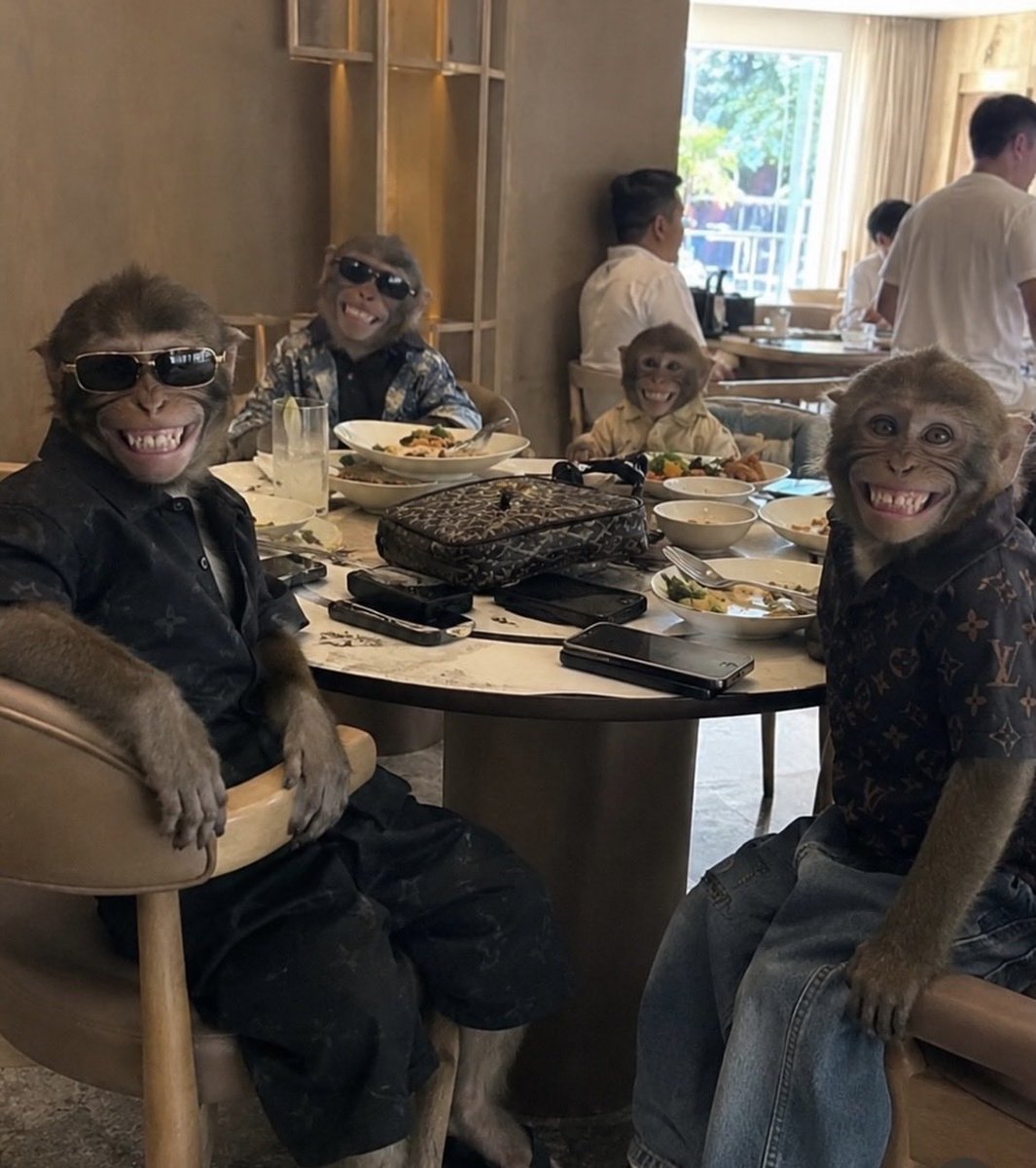 VictoriaLau55's tweet photo. @MingoApes Tired of getting rugged on low-effort tokens? Put your armor on and sip $MONKEY

Top-tier visuals, zero stress, pure alpha community loading

We are uncorking something legendary on https://t.co/DZx06PvVam soon

Early entry via TG
https://t.co/Usthzk7B9Z

$SOL #SolanaGems #Crypto https://t.co/AHsOIWBCtc