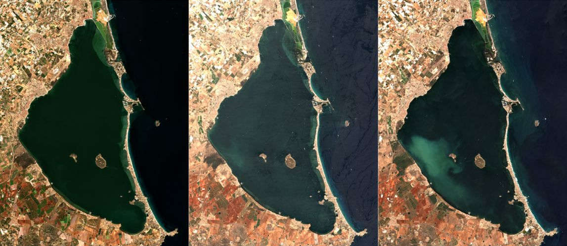 IEOoceanografia's tweet photo. La ‘mancha blanca’ del Mar Menor elimina 7 km² de vegetación submarina y diezma sus poblaciones de peces.

Un estudio del #IEO_CSIC y la @UMU demuestra por primera vez las graves consecuencias ecológicas de este fenómeno, activo desde 2022.

https://t.co/KKekiQme3G

#BELICH https://t.co/JOjTAsqoUa