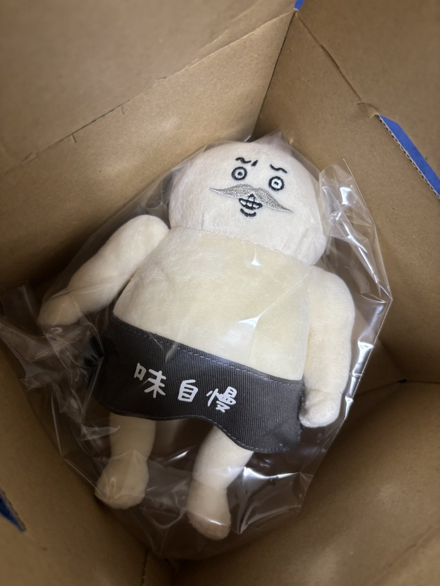 pompommmmm01's tweet photo. これはさっき届いたギッチギチ島二郎 https://t.co/Fo9NxInlLn