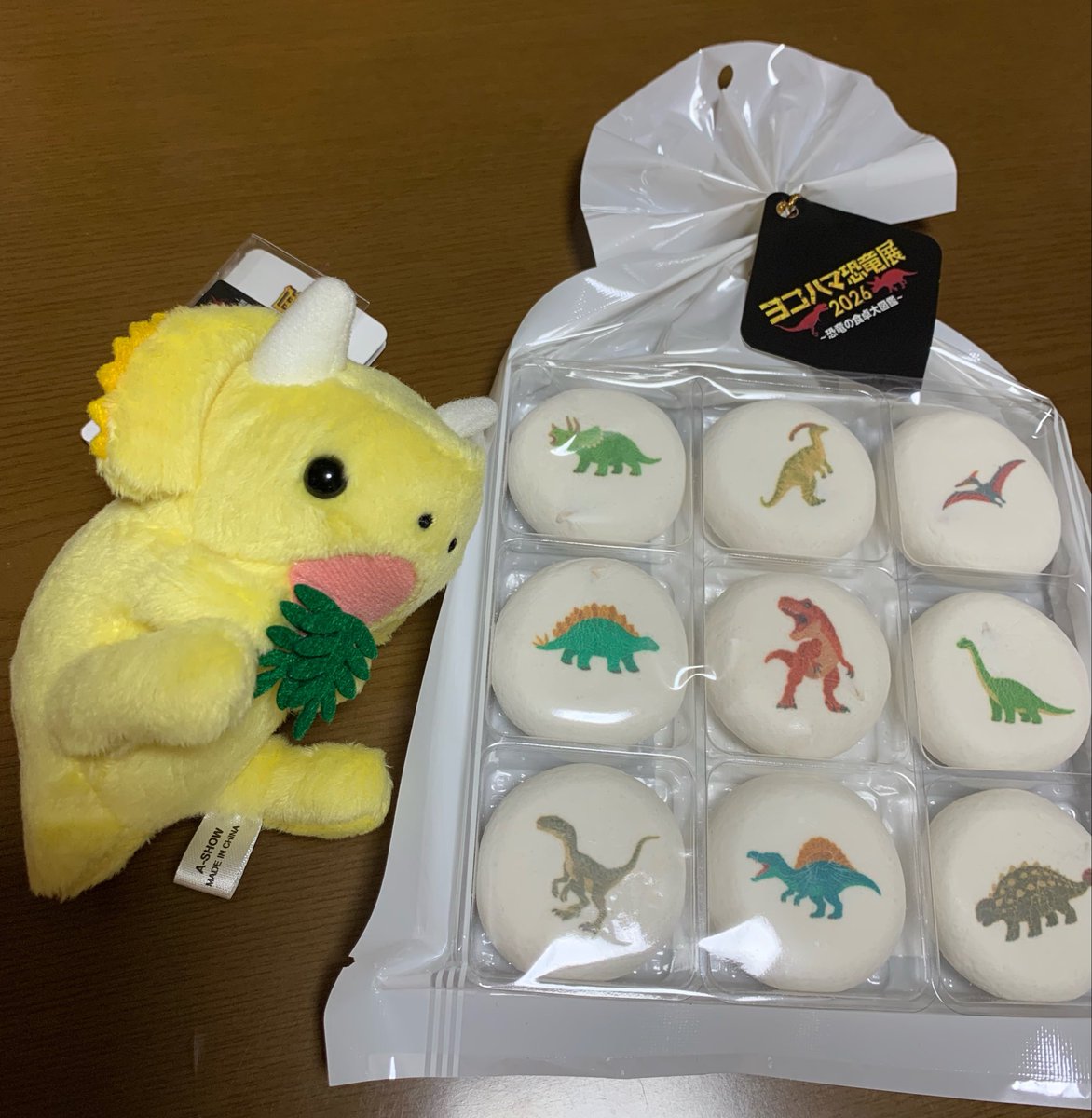 fuyuki_hou's tweet photo. 恐竜博めちゃ楽しかった🦖 https://t.co/dvSOnhCBYQ