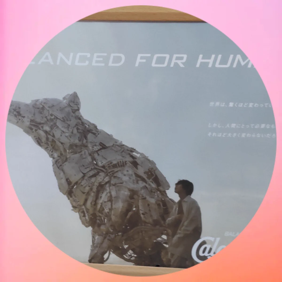りきこ🌾🍋 على X: 