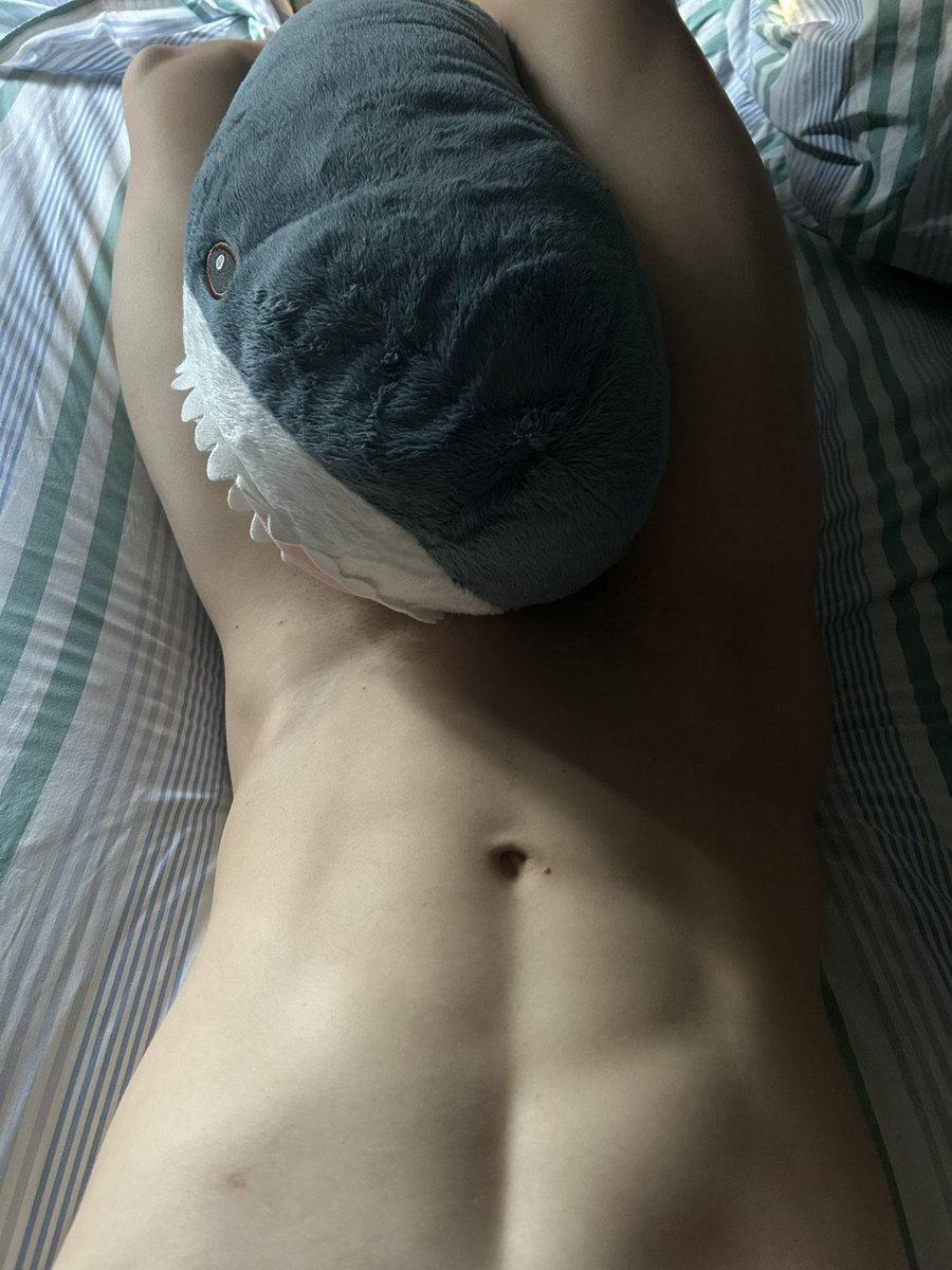 EvilLilacFem's tweet photo. Blåhaj says good morning >.< https://t.co/QYRlErtOjA