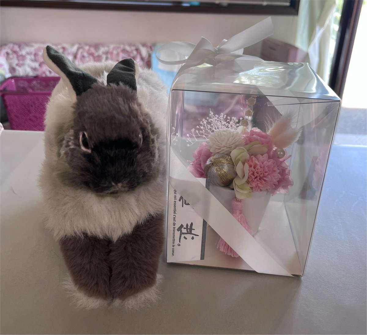 usage_kn's tweet photo. きのあを想って、イメージカラーのお花を送ってくださりました🌸✨
3月生まれのきのあなので、母ちゃんもピンクの淡いイメージが強く、イメージ通りです😭🙏💓
今はまだ横でねんねさせてもらってるので、奥に飾らせてもらい後にケージへ移動する予定です🥰
本当にありがとうございます😭🙏🍀 https://t.co/TugDCgecVg