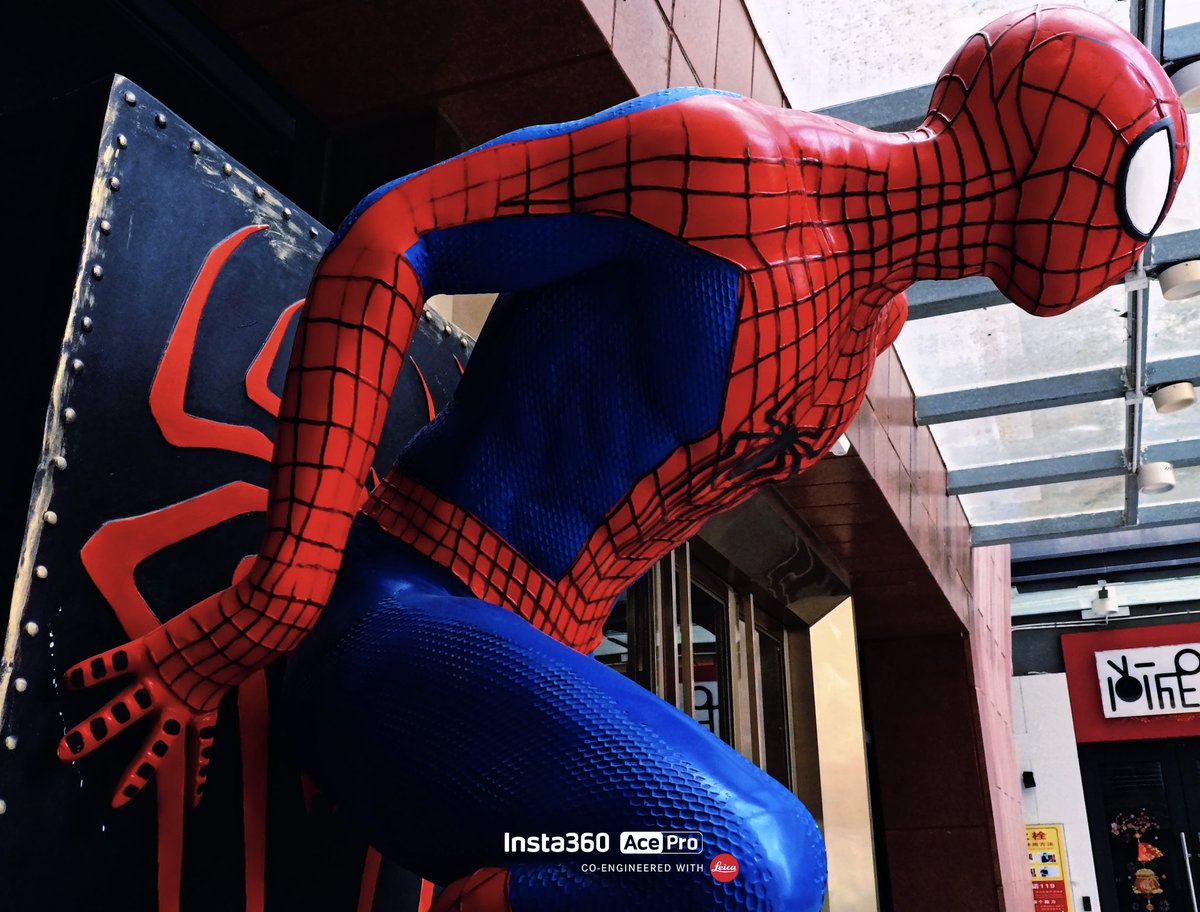 Aether051231's tweet photo. 💪🕷️💪 https://t.co/i1QSuYtK2O