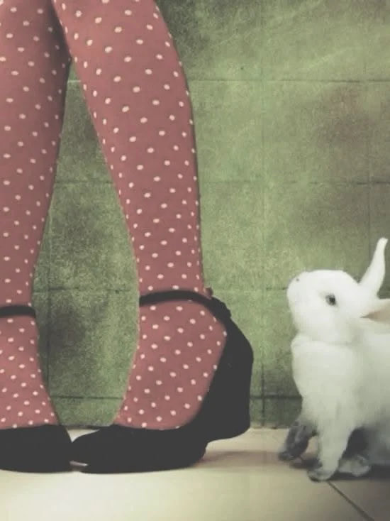 littlelambma's tweet photo. Intro!! ༘⋆ ๑ï #moothunt!! ^^

⋆⊱༻𖥸༺⊰⋆

Mary- 6teen ୭˚. ᵎᵎ

(She/her)(they/them) 
 gw. 50kg

⋆.ೃ𐦍*:･⋆𐦍.ೃ࿔*:･

I love marvel rivals, life is strange, pompompurin, kdramas, anime and gaming .ᐟ.ᐟ 𝄞⨾𓍢ִ໋

#appletwt #edtwt #shedtwt #ricecaketwt #anatwt https://t.co/3GmoCReEAi
