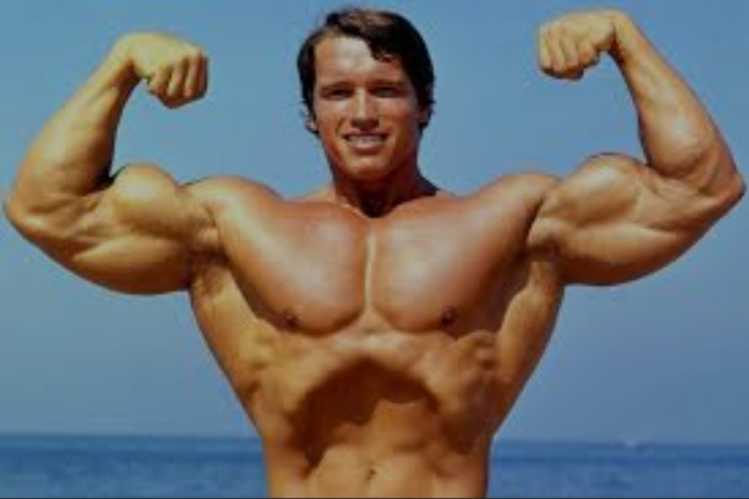 IsidorSeviljski's tweet photo. Na današnji dan, 30. jula 1947. godine, rođen je Arnold Švarceneger austrijsko-američki glumac bodibilder i političar

Tokom karijere osvojio je više titula Mister Olimpija, proslavio se u filmskim hitovima poput Terminatora a kasnije je obavljao i funkciju guvernera Kalifornije. https://t.co/HKjfmZBpZb