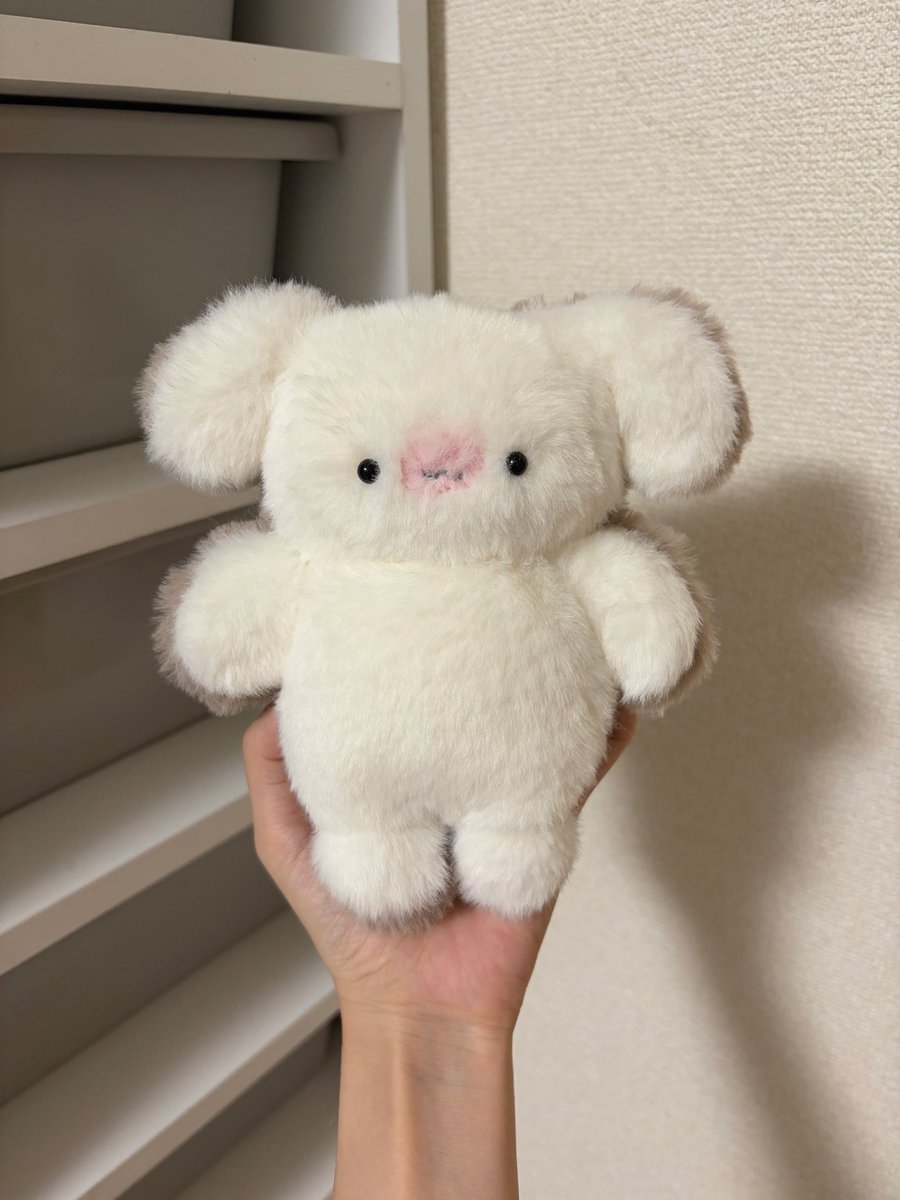 mojugari's tweet photo. 久しぶりの食パンのはしっこ^_^相変わらずかわいいね…🍞看板娘は…愛ですぎて毛並みがふわふわになっている…(^_−)−☆ https://t.co/dmLMAlPNV4