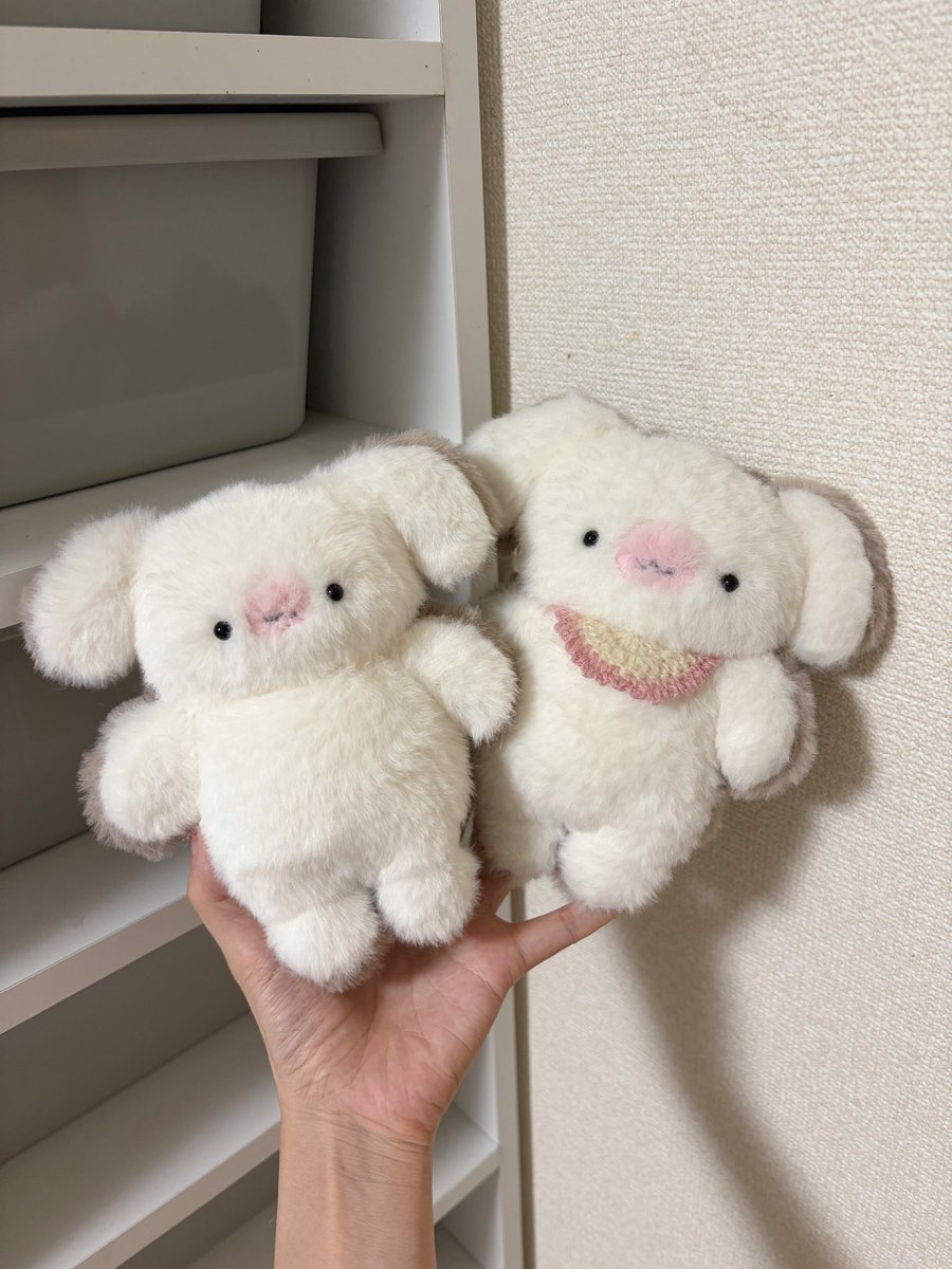 mojugari's tweet photo. 久しぶりの食パンのはしっこ^_^相変わらずかわいいね…🍞看板娘は…愛ですぎて毛並みがふわふわになっている…(^_−)−☆ https://t.co/dmLMAlPNV4