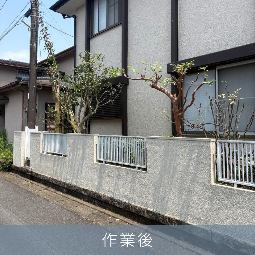 PLUS_WORKS's tweet photo. 富士市のチラシをご覧になったお客様からのご依頼
剪定、伐採、エアコンクリーニング、不用品回収

2日間、3人工、軽トラック3台

大変満足していただけました。ありがとうございます。

♯富士市
♯剪定
♯伐採
♯草刈り
♯不用品回収 https://t.co/Pheyrx6AWF