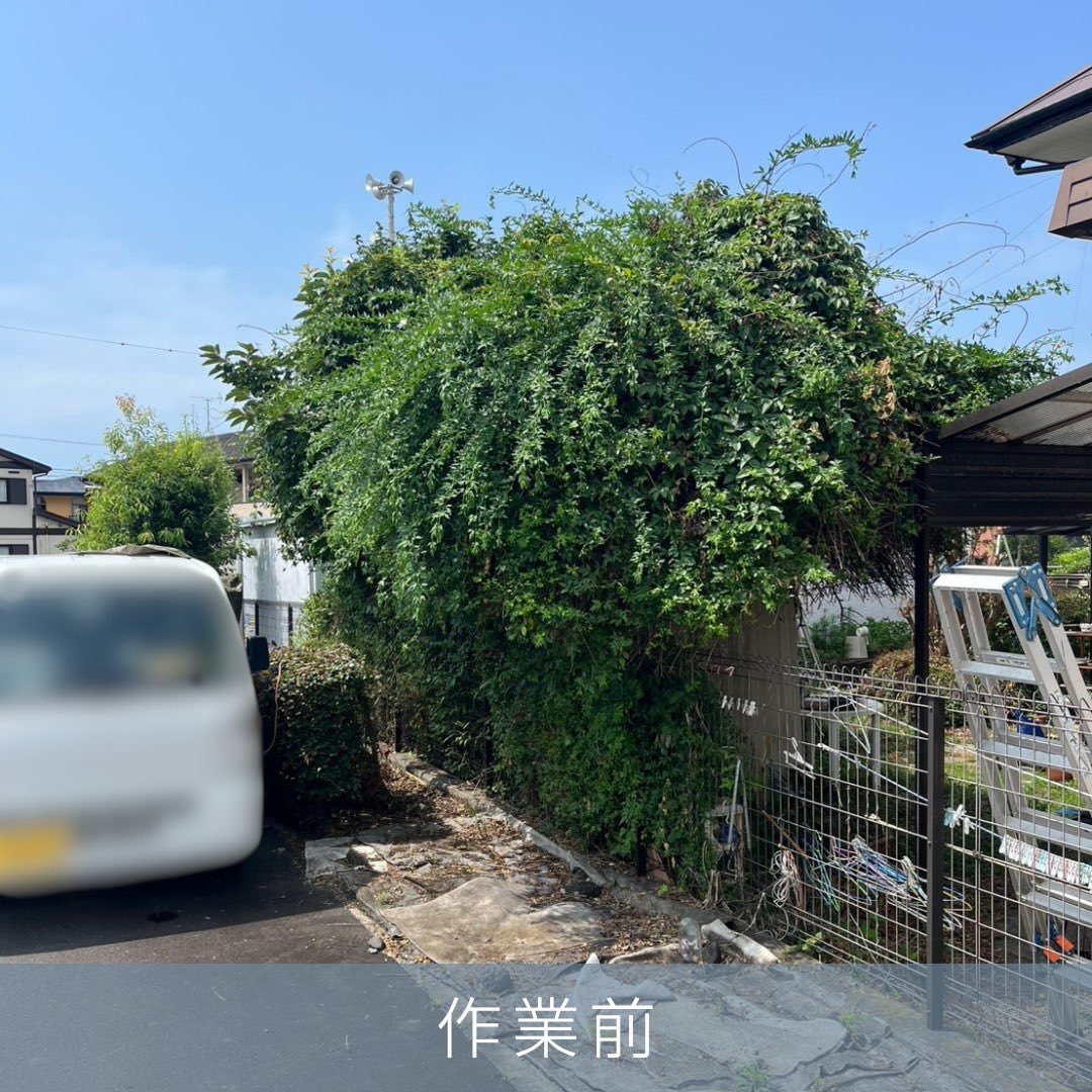 PLUS_WORKS's tweet photo. 富士市のチラシをご覧になったお客様からのご依頼
剪定、伐採、エアコンクリーニング、不用品回収

2日間、3人工、軽トラック3台

大変満足していただけました。ありがとうございます。

♯富士市
♯剪定
♯伐採
♯草刈り
♯不用品回収 https://t.co/Pheyrx6AWF
