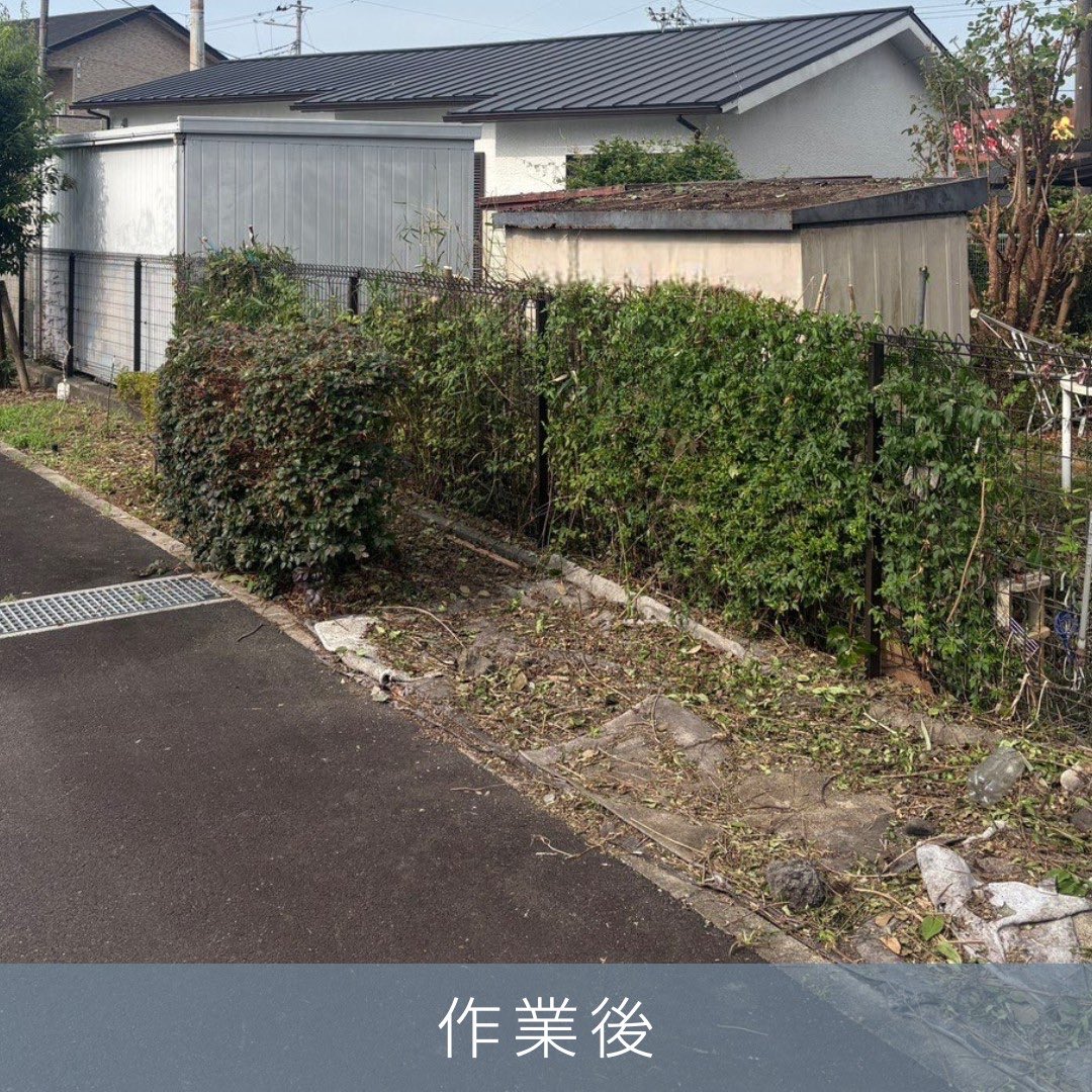 PLUS_WORKS's tweet photo. 富士市のチラシをご覧になったお客様からのご依頼
剪定、伐採、エアコンクリーニング、不用品回収

2日間、3人工、軽トラック3台

大変満足していただけました。ありがとうございます。

♯富士市
♯剪定
♯伐採
♯草刈り
♯不用品回収 https://t.co/Pheyrx6AWF