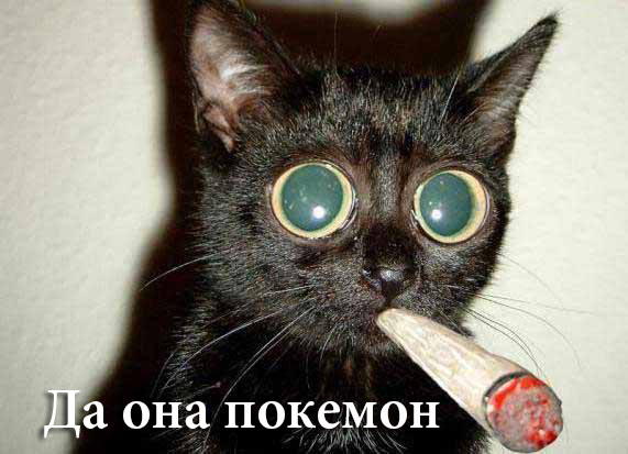 PanKonotop's tweet photo. @RussianEmbassy https://t.co/Pc5ikJ4dvQ