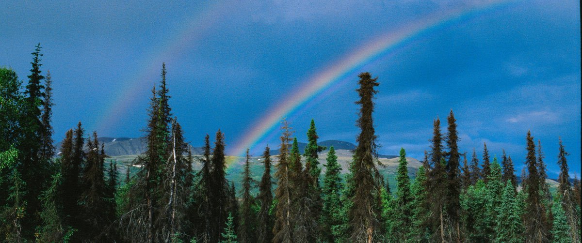 visualsofearth1's tweet photo. Alaska https://t.co/83iEBGTUVu