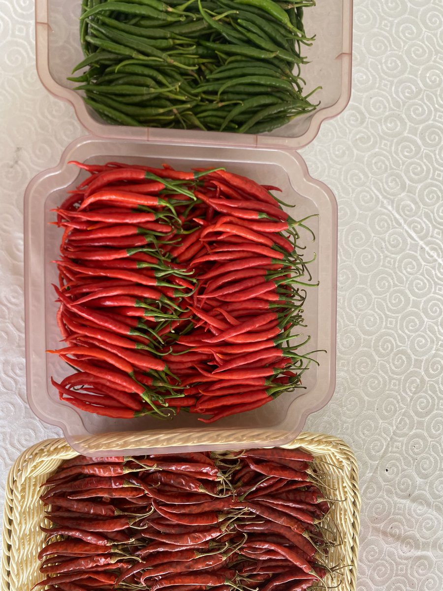 BelindaABATONI's tweet photo. Chilli in different types😍 https://t.co/v3EiPbmcoM