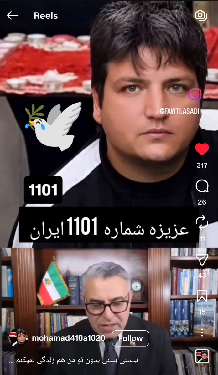 sᴀʀɪ ɢᴀʟɪɴ tweet media