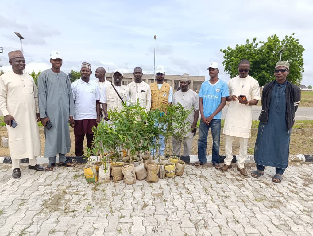 GreenerSpaceNG's tweet photo. GSF handed over seedlings today to:
1. Federal Medical Center, Gusau
2. Zamfara State Ministry of Women Affairs and Social Development

Collaborations like this drive tree planting across institutions for a greener, climate-resilient Zamfara. 
#GSF #TreePlanting #Zamfara https://t.co/DNJ5TxZAWG