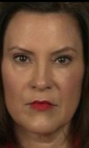 FarmBoyJeff1's tweet photo. How about this?  You wake up to these 3 ugly faces in 2020.

"My orders are law. Not a suggestion,option, or helpful hint"

Disobey, you'll get the treatment that this lady got.
Pure Michigan, Pure Tyranny.

Benson is worse. Bank on it.
Vote with your freedom, not for free stuff https://t.co/WhCIFPcJ4v