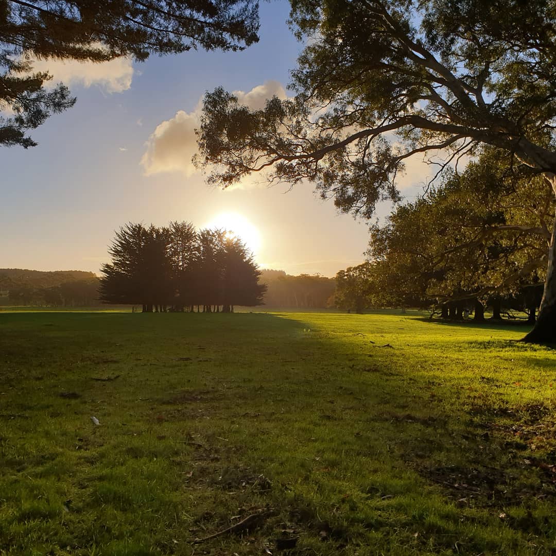 Atrapine1973's tweet photo. #kuitpo #meadows #SunsetVibes #adelaide #southaustralia #naturescenery https://t.co/ToeLBipwC5