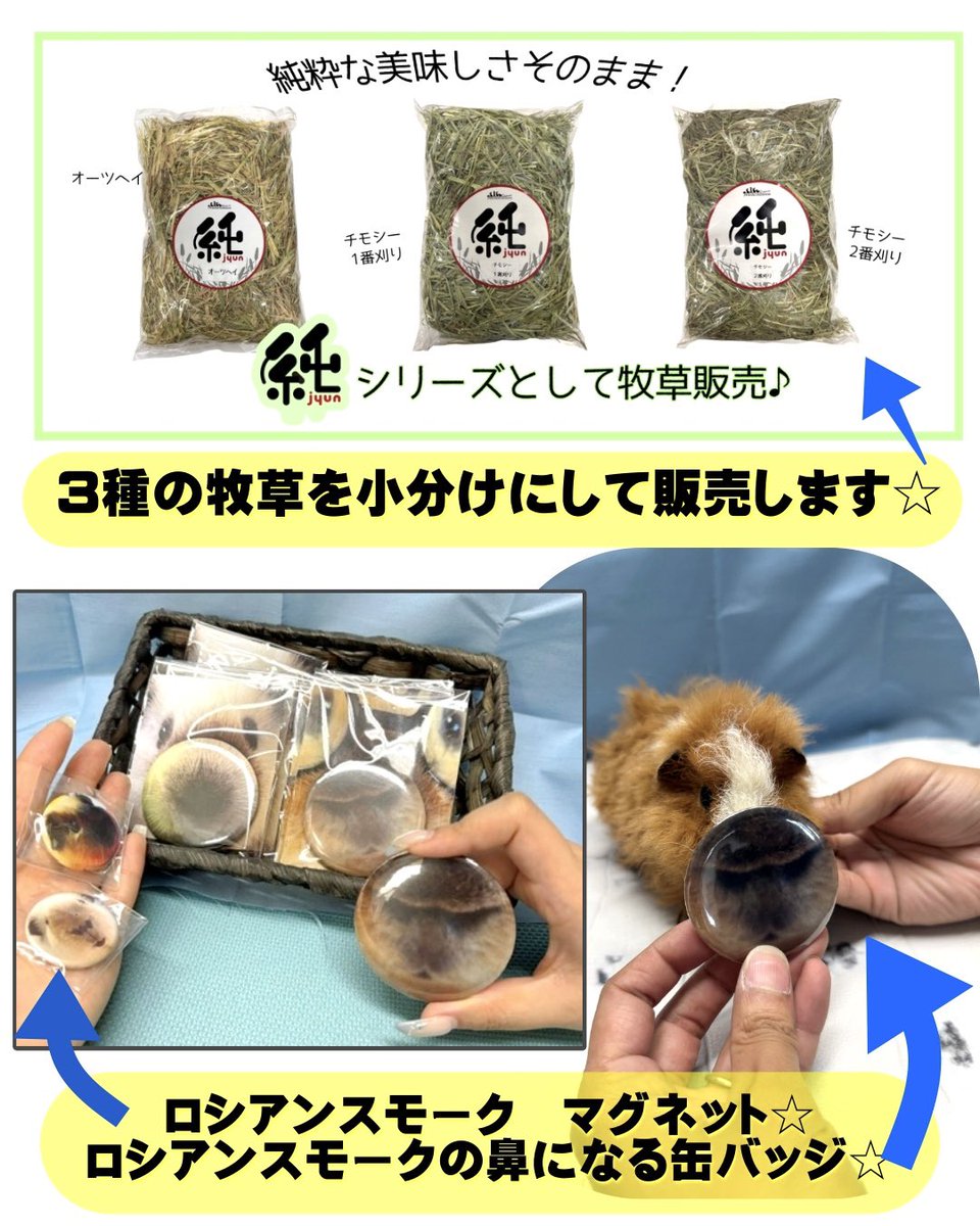 PetsHumans's tweet photo. 2026/8/1 #ローデンツ東京 ！
旨味フードはお試しサイズもございます！
ホックルビ様コラボのロシスモのミニチュア・箸置き・ピアスも🫶
ロシスモの鼻先だけの缶バッジなどおもしろグッズ（真剣）もございますのでぜひ〜！🫶 https://t.co/DDOLfRJ63G