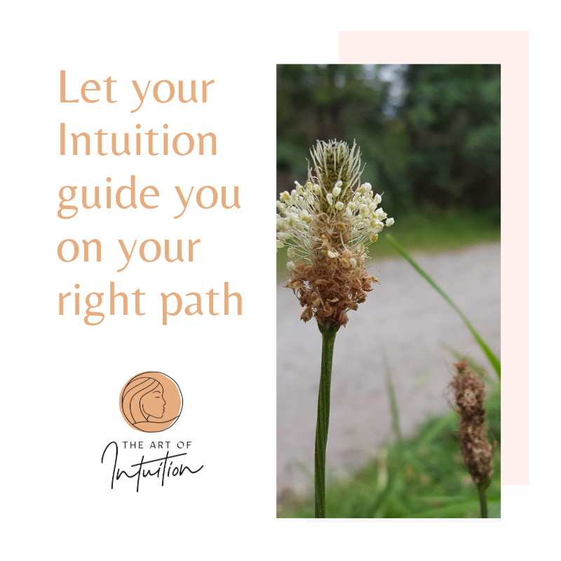 IntuitiveNature's tweet photo. 👆 Guiding you to the greater good. Intuition comes from your Soul and guides you towards your life purpose. The information is within us, you just need to ask and be aware of the answers. #TheArtofIntuition #IntuitiveNature #TheAnswers #Spirituality 😜 https://t.co/zAt75vmGyJ